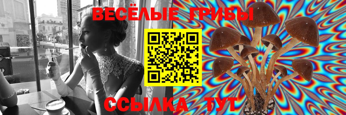 Псилоцибиновые грибы Psilocybe  Вход с VPN  магазин продажи наркотиков  Костомукша 